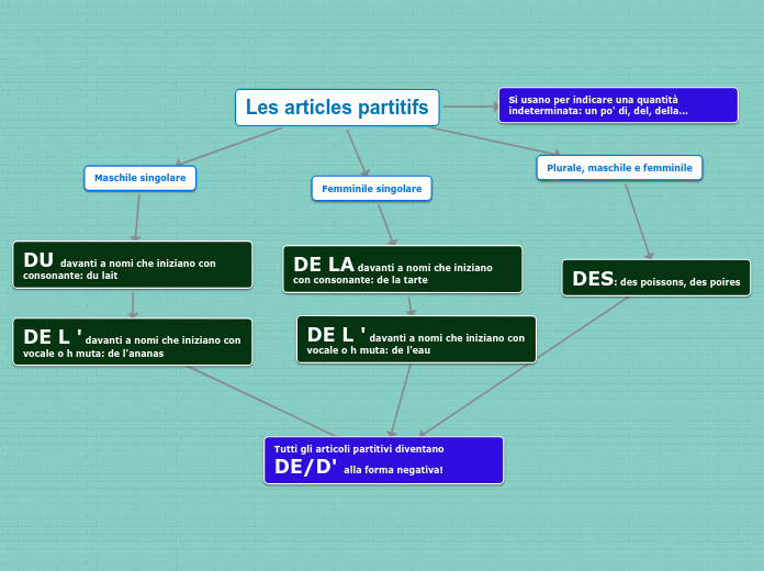 Les articles partitifs - Mappa Mentale