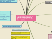 Programas de Prevención y Control de la...- Mapa Mental