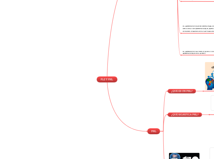 PLE Y PNL  - Mapa Mental