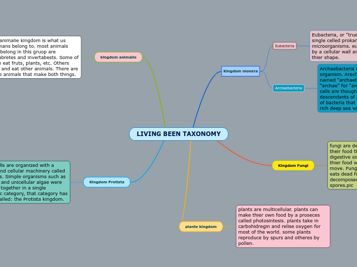 LIVING BEEN TAXONOMY - Mind Map
