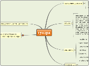 Тундра. Природа и хозяйствееная ...- Мыслительная карта