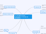 La importancia de la información en la ...- Mapa Mental
