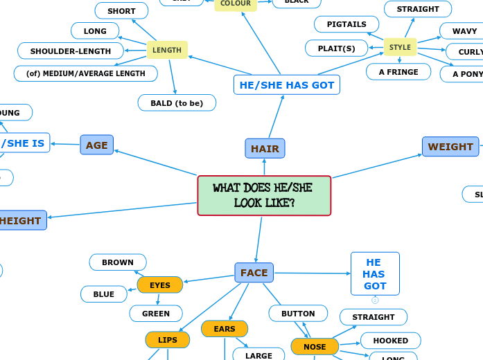 WHAT DOES HE/SHE LOOK LIKE? - Mind Map