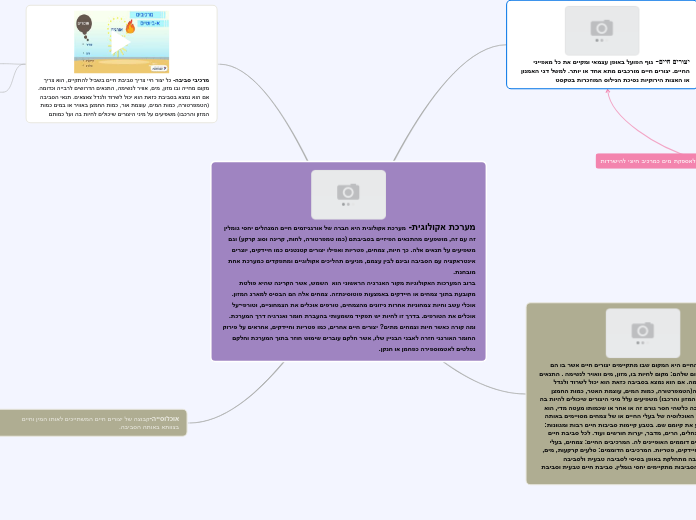 מערכת אקולוגית- מערכת אקולוגית היא חברה של...- Mind Map
