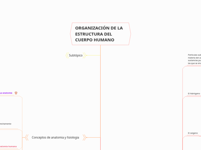 ORGANIZACIÓN DE LA ESTRUCTURA DEL CUERPO HUMANO