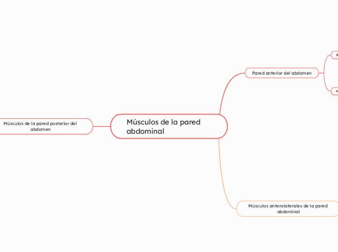 Músculos de la pared abdominal