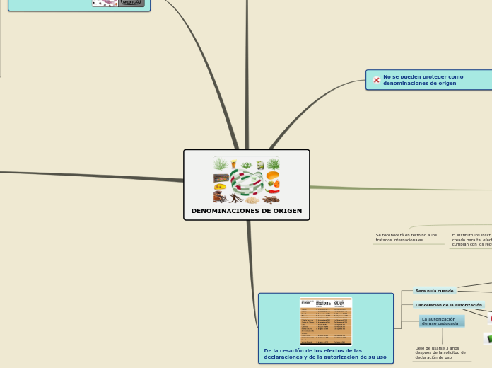 DENOMINACIONES DE ORIGEN - Mapa Mental