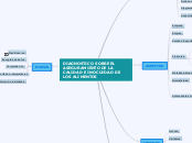 DIAGNOSTICO SOBRE EL ASEGURAMIENTO DE L...- Mapa Mental
