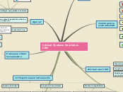 Critical Systems Heuristics CSH - Mapa Mental