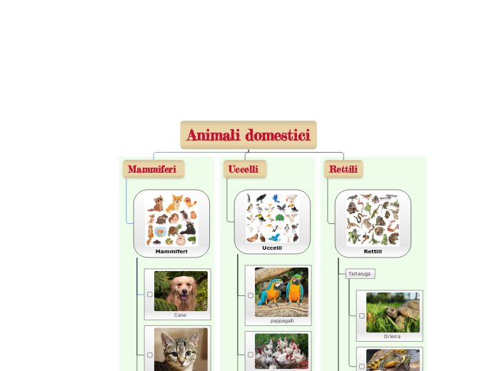 Animali domestici 
