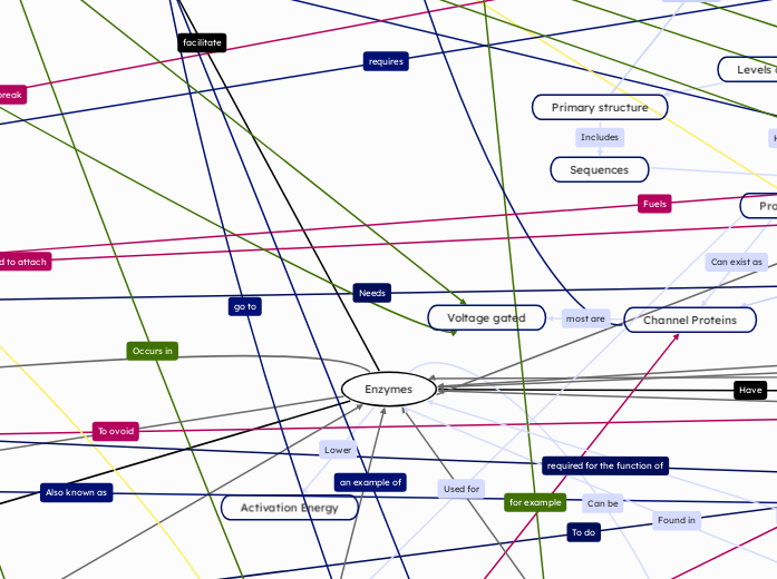 Enzymes - Mind Map