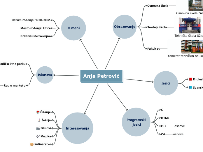 Anja Petrović - Mind Map