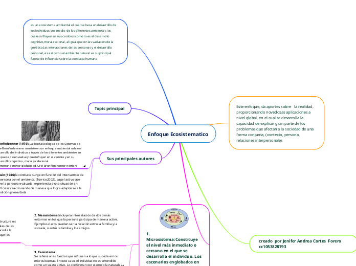 Enfoque Ecosistematico - Mapa Mental