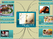 Nachdenken über meinen Tag (Tagebuch) - Mindmap