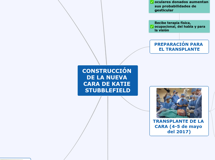 CONSTRUCCIÓN DE LA NUEVA CARA DE KATIE ...- Mapa Mental