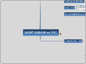 SAINT GOBAIN sa (FR) - Mapa Mental
