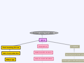 Background of the students. - Mind Map