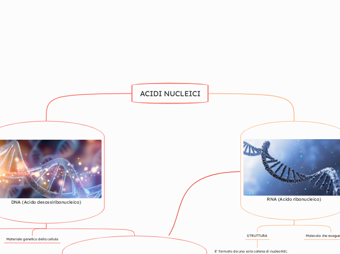 ACIDI NUCLEICI - Mappa Mentale