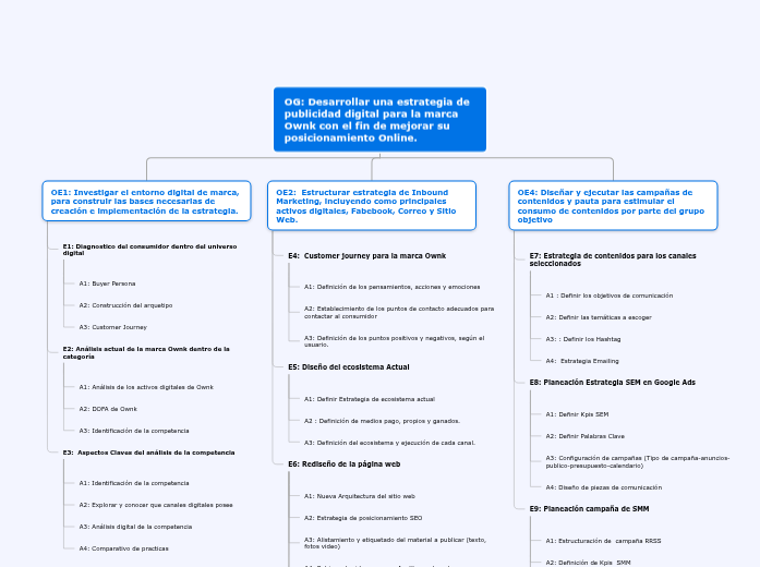 OG: Desarrollar una estrategia de publi...- Mapa Mental