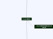3 - LA HOJA