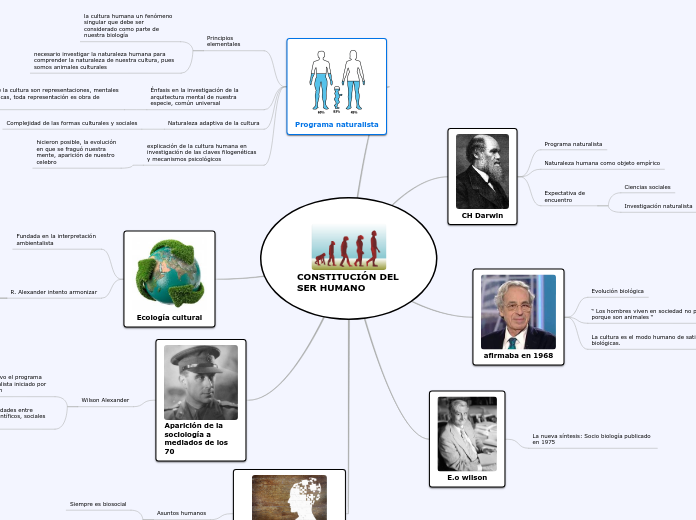 CONSTITUCIÓN DEL SER HUMANO - Mapa Mental