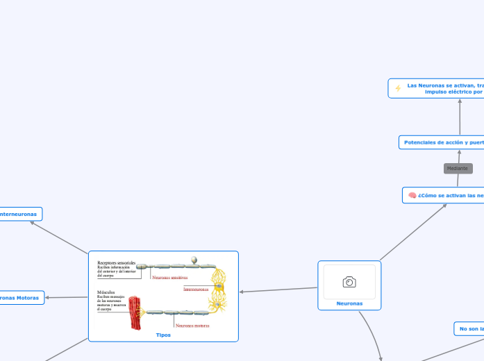 Neuronas - Mind Map