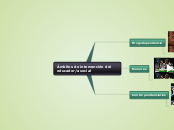 Ambitos de intervencion del educador/a ...- Mapa Mental