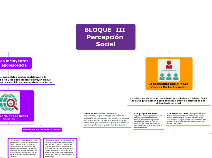 BLOQUE  III Percepción Social
