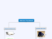 Materiaren Propietateak - Adimen Mapa