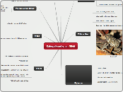 New Map - Mind Map