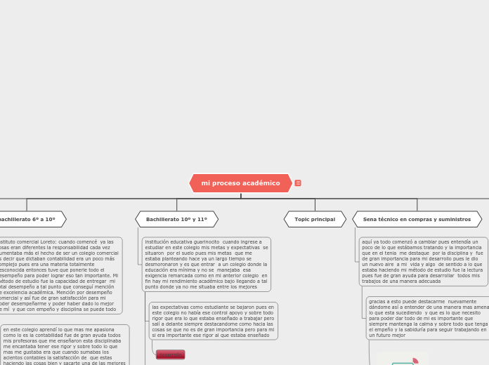 mi proceso académico