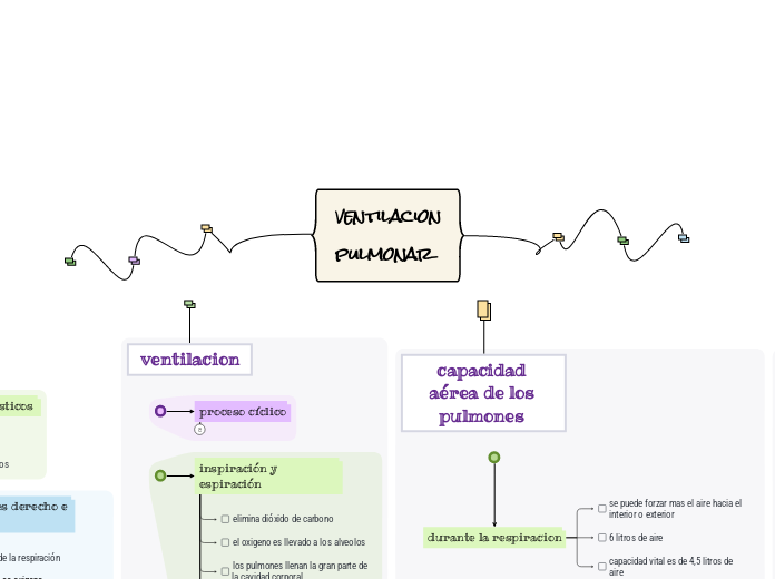 ventilacion
pulmonar