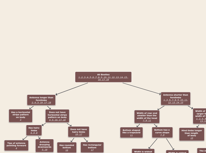 All Beetles
1, 2, 3, 4, 5, 6, 7, 8, 9, 10,...- Mind Map