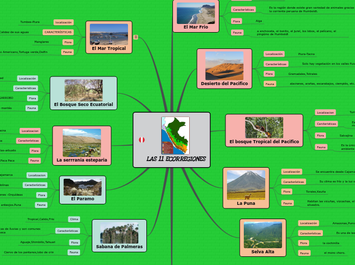 LAS 11 ECORREGIONES - Mapa Mental