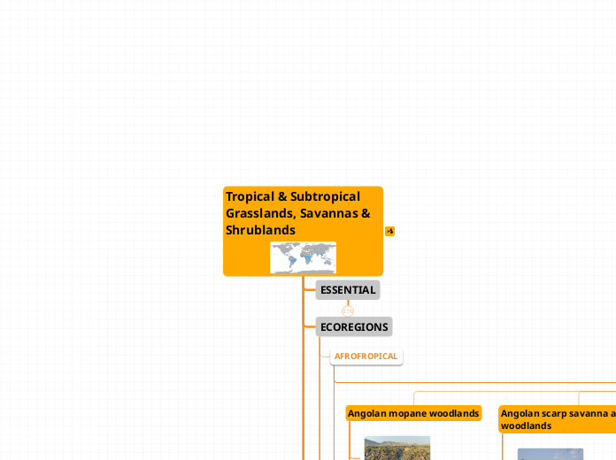 Tropical &amp; Subtropical Grasslands, Sav...- Mind Map
