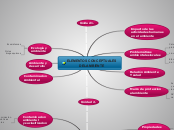 ELEMENTOS CONCEPTUALES
DEL AMBIENTE - Mapa Mental