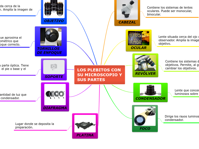 LOS PLEBITOS CON SU MICROSCOPIO Y SUS P...- Mapa Mental