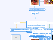 ENFERMEDADES OCULARES https://icrcat.co...- Mapa Mental