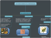 LOS CINCO REINOS DE LA NATURALEZA - Mapa Mental
