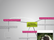 ALIMENTS I NUTRIENTS - Mind Map
