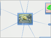 Kahepaiksed - Mind Map