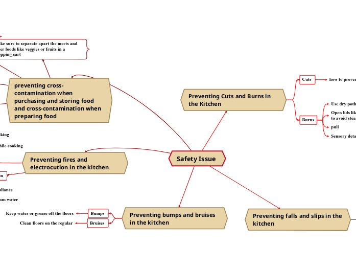 Safety Issue - Mind Map