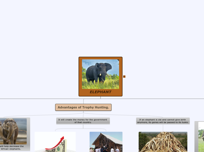 ELEPHANT - Mind Map