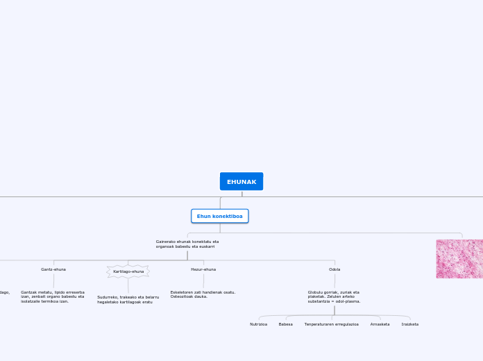 EHUNAK - Mind Map