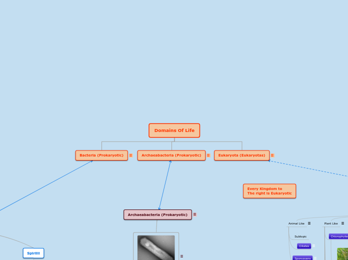 Domains Of Life - Mind Map