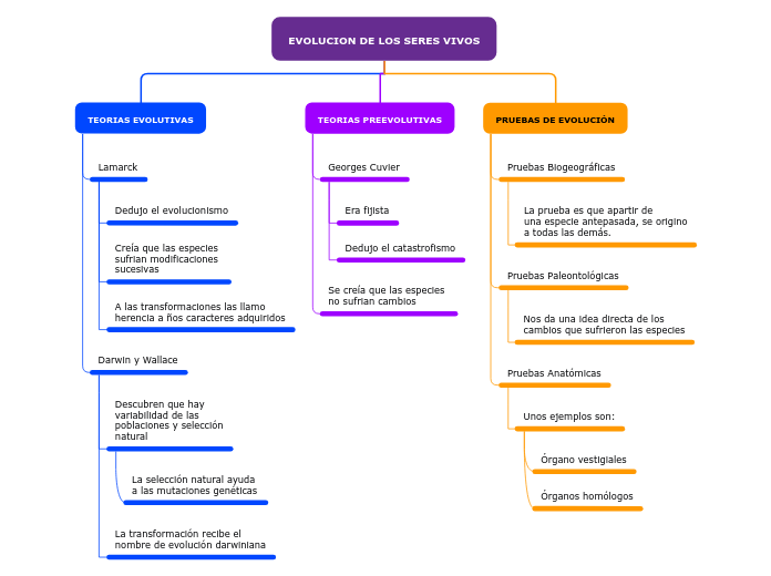 EVOLUCION DE LOS SERES VIVOS - Mapa Mental