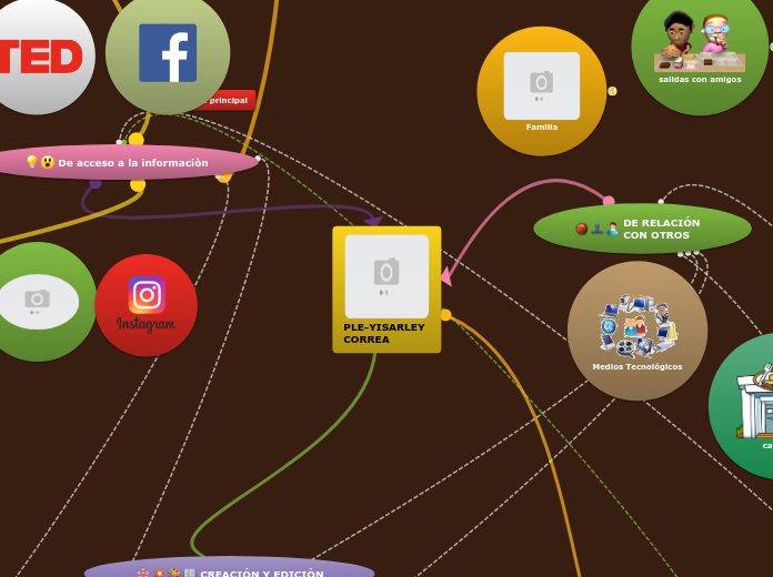 PLE-YISARLEY CORREA - Mapa Mental