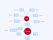 Face - Mind Map