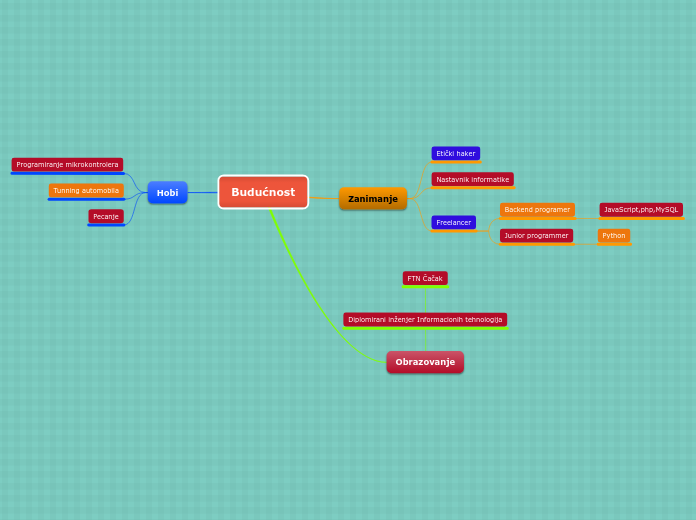Budućnost_96-2019 - Mind Map