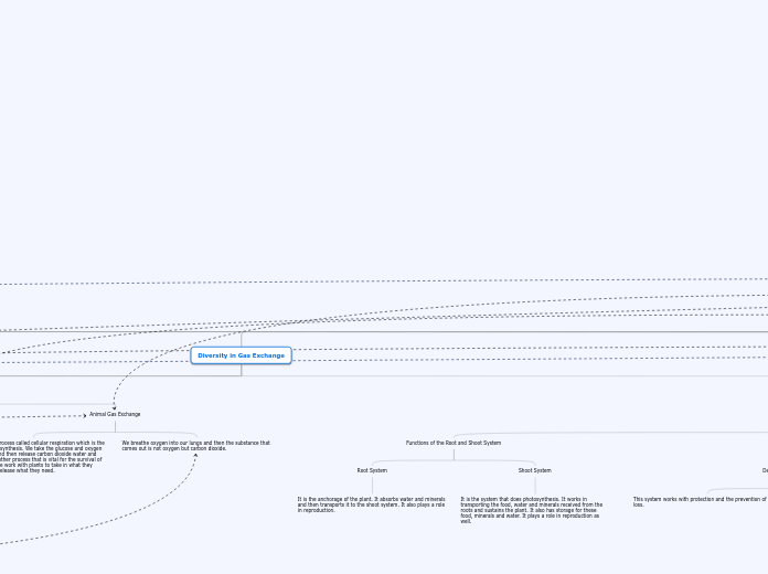 Life - Mind Map